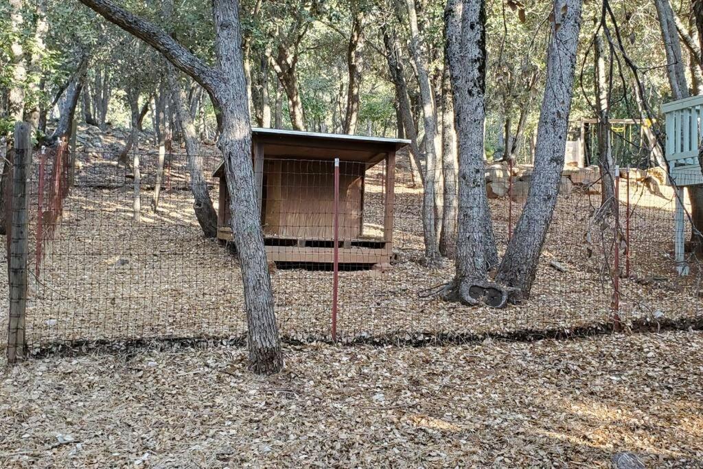 Pine Hills Cabin In Джулиан Экстерьер фото